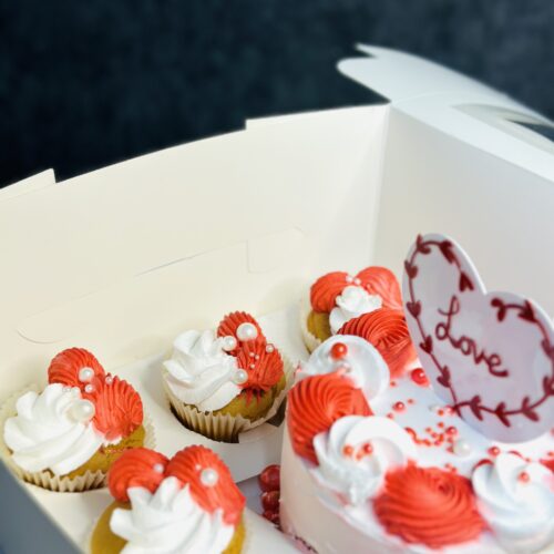 Bento Cake & Cupcake Set